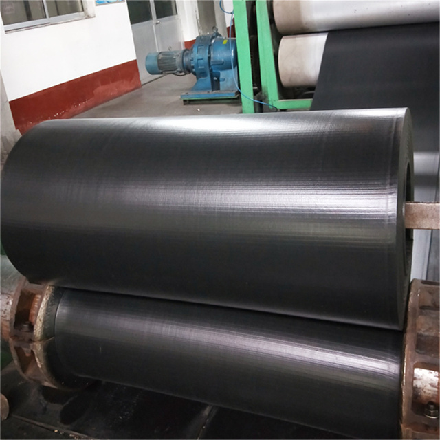 Customized Cold Resistant Conveyor Belt for Cold Condition