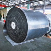 Heat Resistant Ep/Nn Rubber Conveyor Belt Reinforced with Polyester for Sale