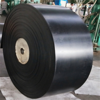 Nn Conveyor Belt Supplier Providing Various Specifications