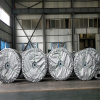 Industrial Steel Cord Rubber Conveyor/Transmission Belt for Coal Mining