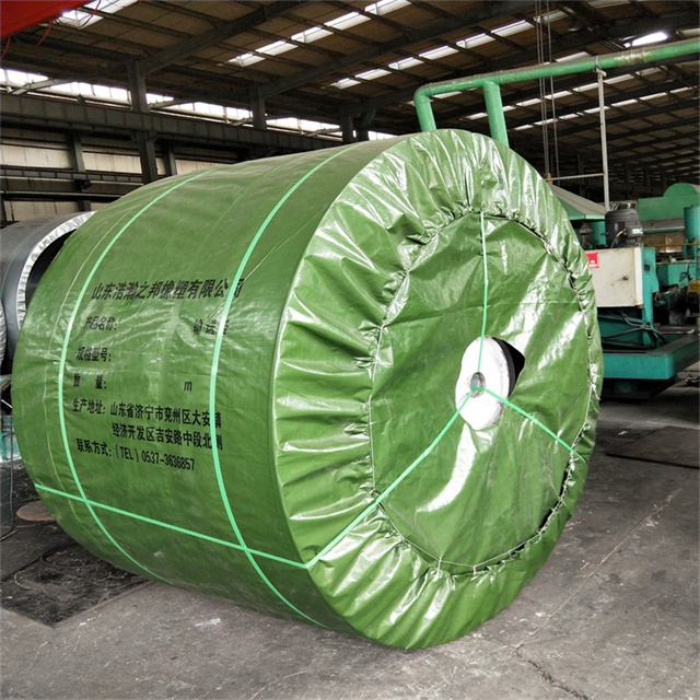 Customized Cold Resistant Conveyor Belt for Cold Condition