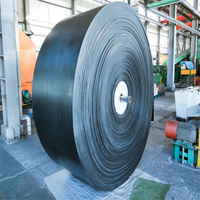 Smooth Surface Cold-Resistant Conveyor Belts