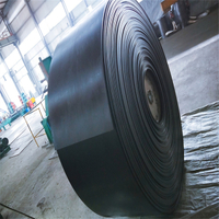 Customized New Cold-resistant Conveyor Belt